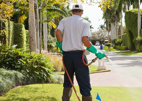 About Julesburg CO Pest Control